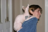 Enlarge photo 19