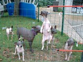 Enlarge photo 16