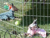 Enlarge photo 18