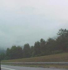 Enlarge photo 41