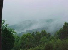 Enlarge photo 43