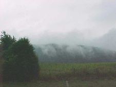 Enlarge photo 45