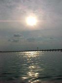 Enlarge photo 52