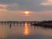 Enlarge photo 41