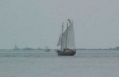 Enlarge photo 67