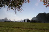 Enlarge photo 64