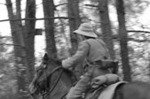 Enlarge photo 33