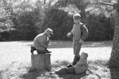 Enlarge photo 46