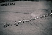 Enlarge photo 25