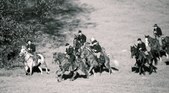 Enlarge photo 29