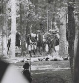 Enlarge photo 113