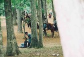 Enlarge photo 117