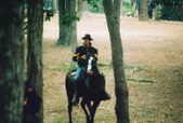 Enlarge photo 124