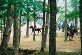 Enlarge photo 125