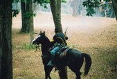Enlarge photo 126