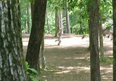 Enlarge photo 40