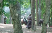 Enlarge photo 41