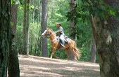 Enlarge photo 42