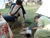 Enlarge photo 40