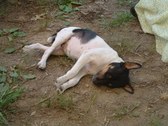 Enlarge photo 42