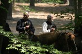 Enlarge photo 34