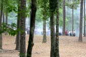 Enlarge photo 52