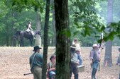 Enlarge photo 55