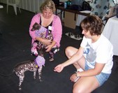 Enlarge photo 5