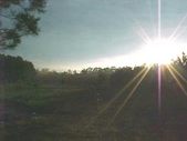 Enlarge photo 58