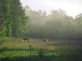 Enlarge photo 57