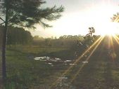 Enlarge photo 59