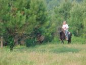 Enlarge photo 25