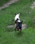 Enlarge photo 31