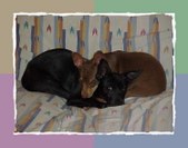 Enlarge photo 34