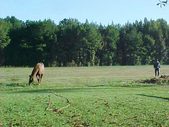 Enlarge photo 65