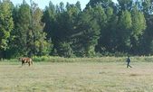 Enlarge photo 66
