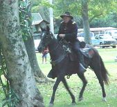 Enlarge photo 72