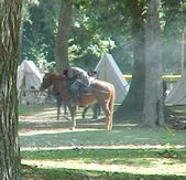 Enlarge photo 82