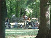 Enlarge photo 83