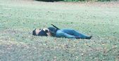 Enlarge photo 104