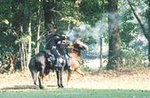 Enlarge photo 107