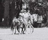 Enlarge photo 117