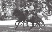 Enlarge photo 118