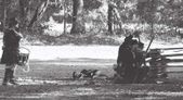 Enlarge photo 126