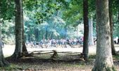 Enlarge photo 50
