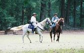 Enlarge photo 51