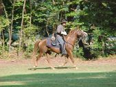 Enlarge photo 46
