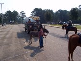 Enlarge photo 94