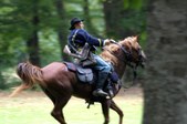 Enlarge photo 35
