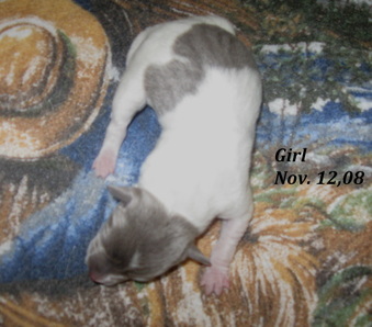 Enlarge photo 2